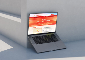 党建系统平台赋能组织生活全周期管理，提高党员参与热情